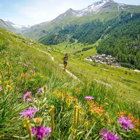 Iris 4 - Haven Mont Blanc *