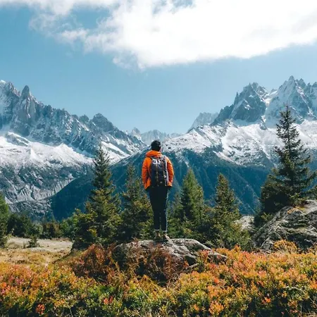 Apartment Iris 4 - Haven Mont Blanc